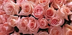 bouquet de mariée glamour avec des roses